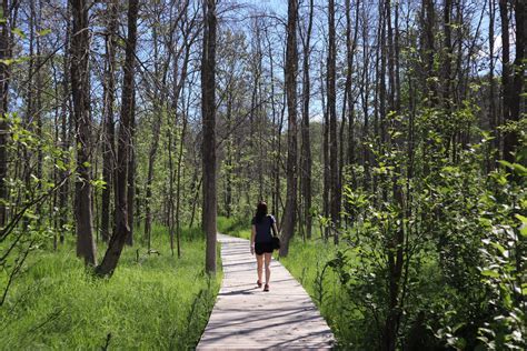 3 Spring Hiking Trails for the Whole Family - Sault Ste Marie CVB