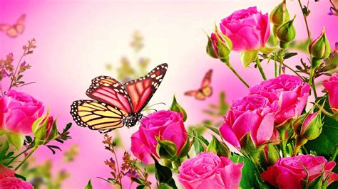 31+ Wallpaper Flower With Butterfly - Galeri Bunga HD