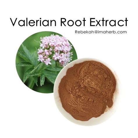 Valerian Extract, Valeric Acid, Valerian Root Powder