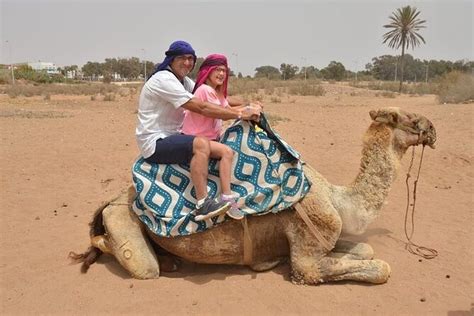 Agadir Camel Ride Experience