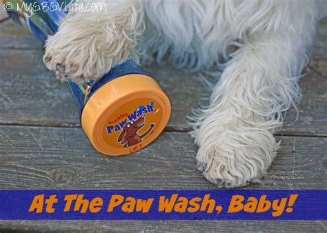 The Paw Wash - Say "No" To Dirty Paws {Giveaway} - My GBGV Life