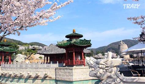 Gyeongju Cherry Blossom Festival 2019 Day Tour from Seoul - Trazy ...