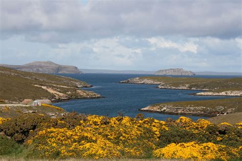 West Falkland -Places to visit -Discover the Falklands -The Falklands ...