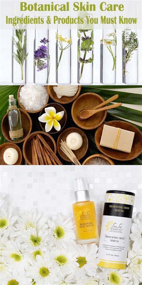 Botanical skin care DIY products and ingredients you must know #AntiAgingBeautySkinCare ...