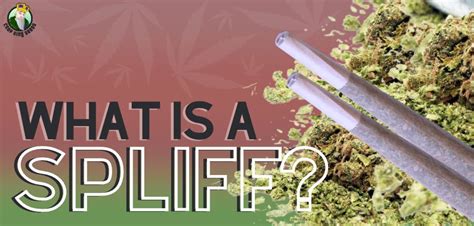 What Is A Spliff | Crop King Seeds