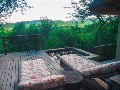 Why Phinda Mountain Lodge Will Take Your Breath Away | A Winter Escape ...