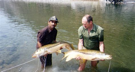 Mahaseer Fishing In Jim Corbett National Park | Blog