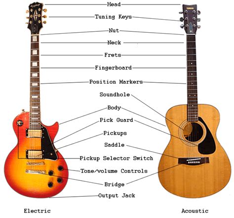An Overview of Guitar Parts: Electric & Acoustic Guitar Anatomy