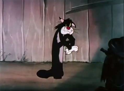 The Cat That Hated People (1948) - Cinema Cats