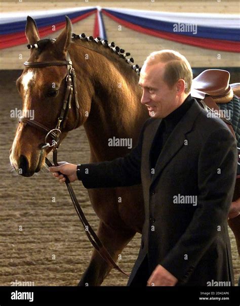 Vladimir putin horse hi-res stock photography and images - Alamy