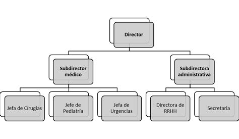 Initiative Freiwillige Russland estructura organizativa de una empresa ...