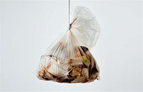 Food Waste in America in 2024: Statistics & Facts | RTS