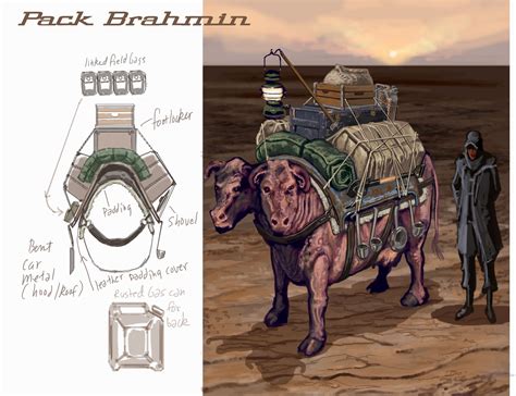 Brahmin Fallout