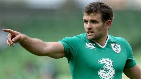 Rugby World Cup 2015: England game ideal says Ireland's Payne - BBC Sport