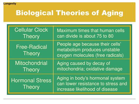 PPT - Physical Development and Biological Aging PowerPoint Presentation ...