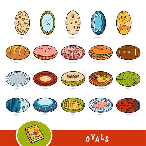 Colorful Set of Oval Shape Objects. Visual Dictionary Stock Vector ...