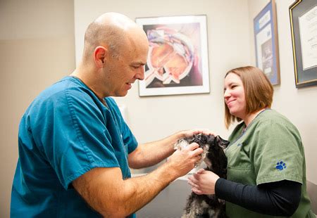 Prosthetic Dog Eye Surgery: A Guide – Health News Website