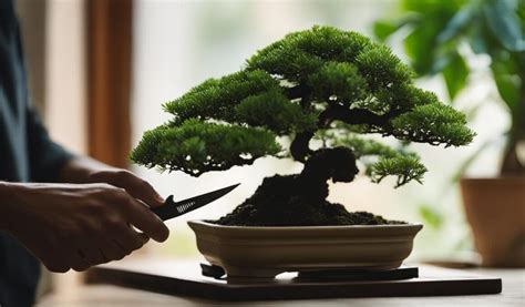 Types Of Bonsai Trees Indoor