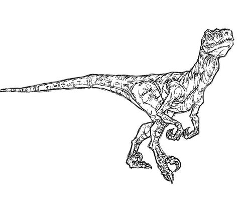 Jurassic World Raptor Coloring Pages – Thekidsworksheet