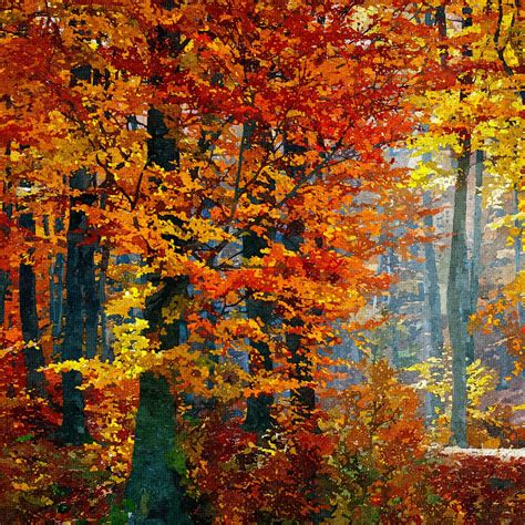 Forest Painting Autumn Trees Free Stock Photo - Public Domain Pictures