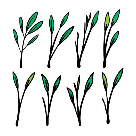 Realistic Leaf Sketch Vector, Leaf, Sketch, Realistic PNG and Vector ...