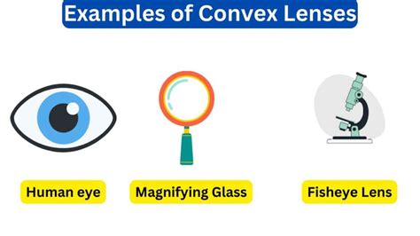 10 Examples of Convex Lenses