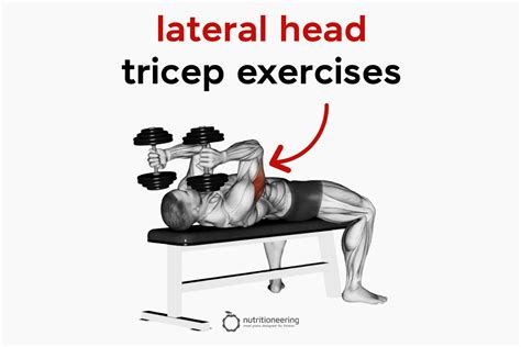 13 Top Lateral Head Tricep Exercises for Chiseled Arms