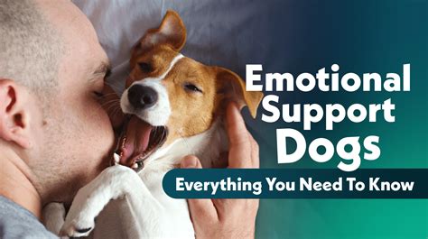 Emotional Support Dogs: Everything You Need To Know