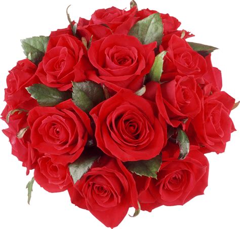 Red Roses Bouquet PNG Clipart | Gallery Yopriceville - High-Quality Images and Transparent PNG ...