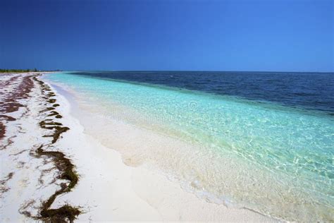 Cayo Largo del Sur, Cuba. stock photo. Image of isolated - 122011532