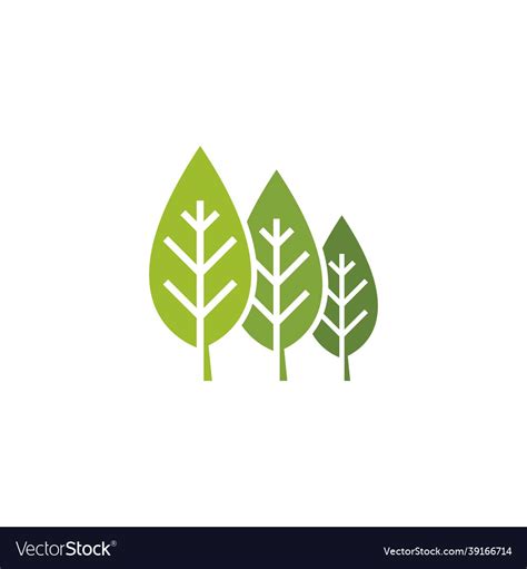 Green leaf Royalty Free Vector Image - VectorStock