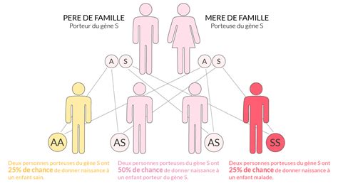 La drépanocytose | APIPD