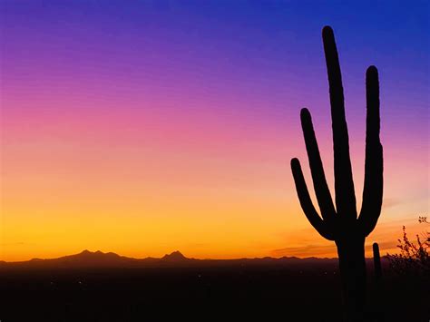 Desert sunset : r/SkyPorn