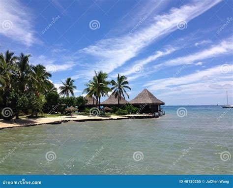 Resort in Papeete stock image. Image of tahiti, tree - 40130255