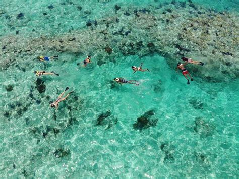 Key West: Reef Snorkel Morning Tour with Breakfast & Mimosas | GetYourGuide