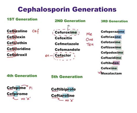 Cephalosporin Generations Secure Payment | www.micoope.com.gt