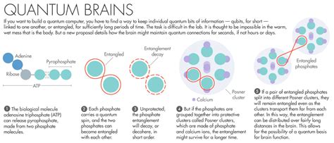 DARQ GPT ~ Quantum Computation in the Brain