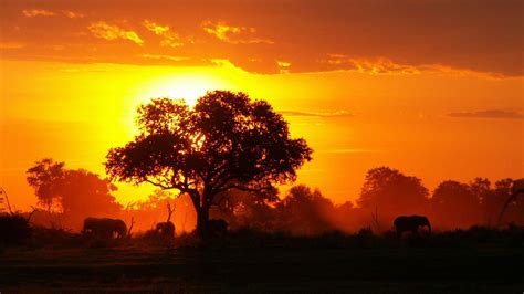 African Sunset Wallpapers - Top Free African Sunset Backgrounds - WallpaperAccess