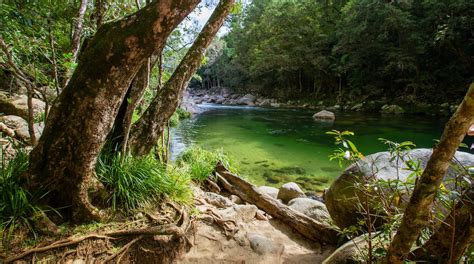 Visit Mossman Gorge: 2022 Travel Guide for Mossman Gorge, Queensland | Expedia