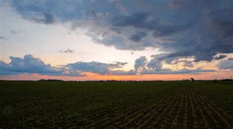 Farming Cartoon Gif