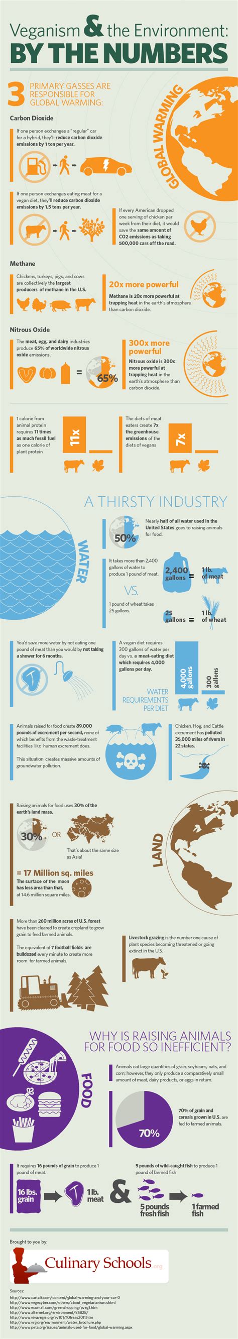 Infographic: Veganism and The Environment - One Green PlanetOne Green ...