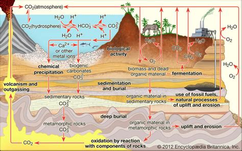 Carbon Sequestration | Saving Earth | Encyclopedia Britannica