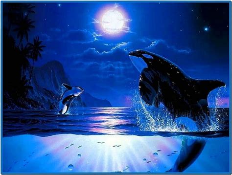 Killer Whales Screensavers - Download-Screensavers.biz