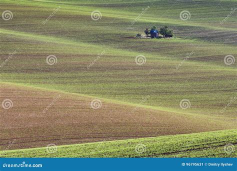 South Moravian Fields, Czech Republic Fields, Moravian Hills Stock Image - Image of farm ...