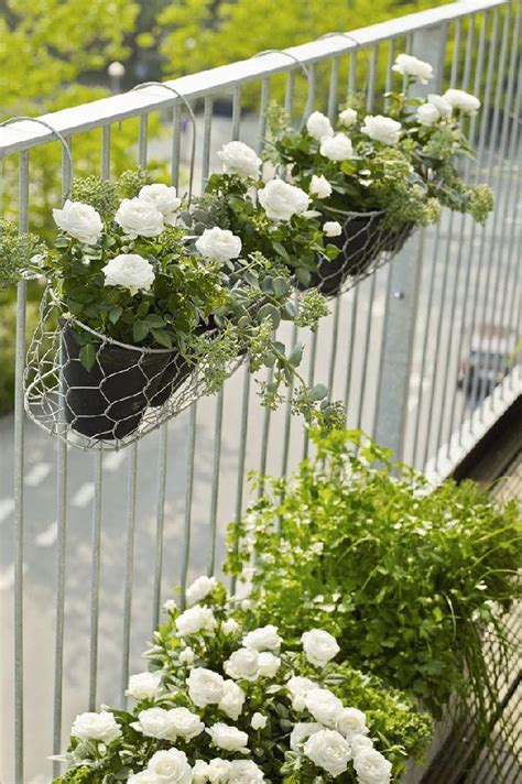 Creative Balcony Garden Design Ideas for Gardeners | Boo Gardening