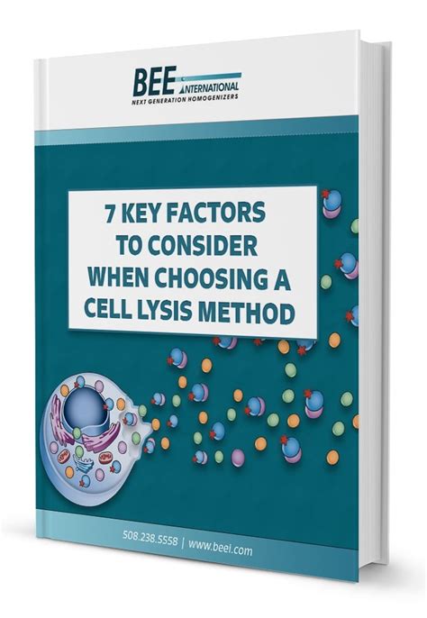 7 Key Factors to Consider When Choosing a Cell Lysis Method eBook