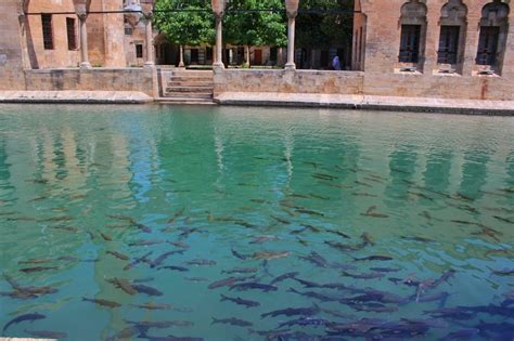 Balikli Gol in Sanliurfa: The faith legends of Urfa in Turkey