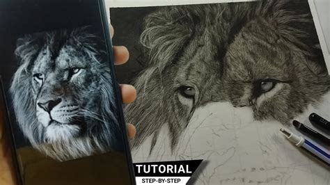 How to Draw Realistic Fur for Beginners - YouTube