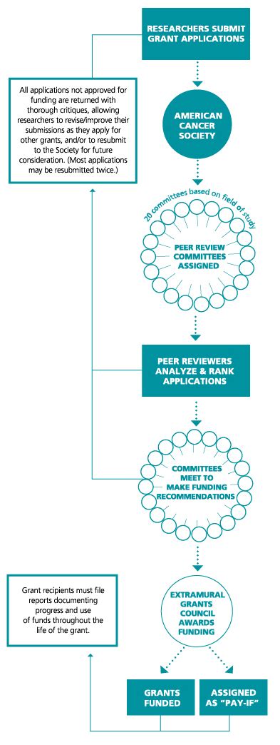 Step by Step: American Cancer Society Research Grant Funding