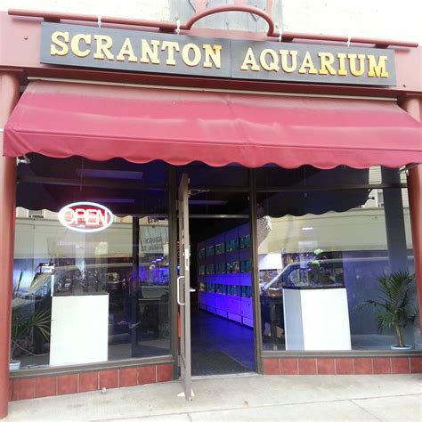 Scranton Aquarium - A1 Aquatics | Scranton PA